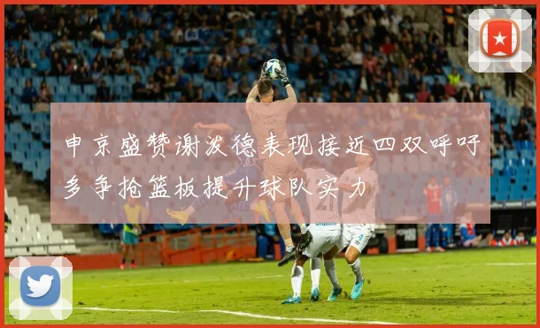申京盛赞谢泼德表现接近四双呼吁多争抢篮板提升球队实力